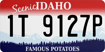 ID license plate 1T9127P