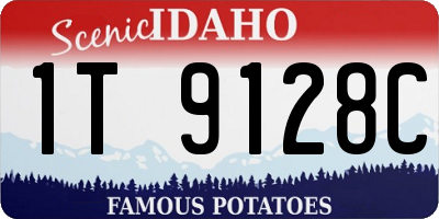 ID license plate 1T9128C