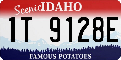 ID license plate 1T9128E