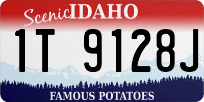 ID license plate 1T9128J