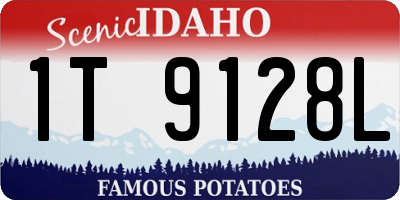 ID license plate 1T9128L
