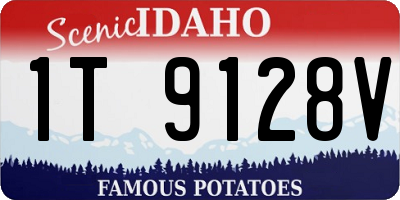 ID license plate 1T9128V