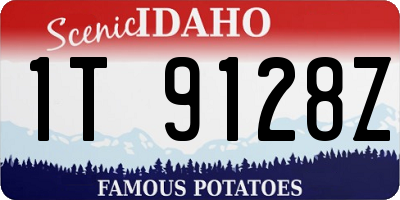 ID license plate 1T9128Z
