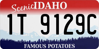ID license plate 1T9129C