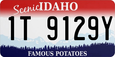 ID license plate 1T9129Y