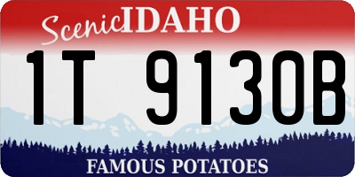 ID license plate 1T9130B