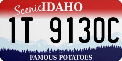 ID license plate 1T9130C