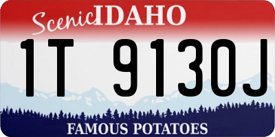 ID license plate 1T9130J