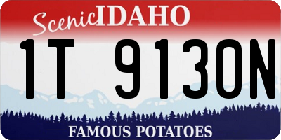 ID license plate 1T9130N