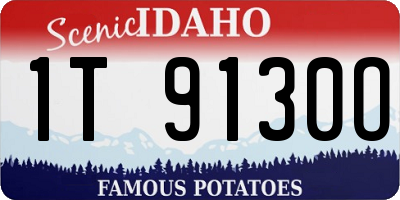 ID license plate 1T9130O