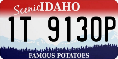 ID license plate 1T9130P