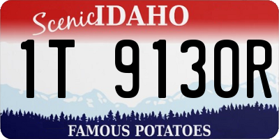 ID license plate 1T9130R