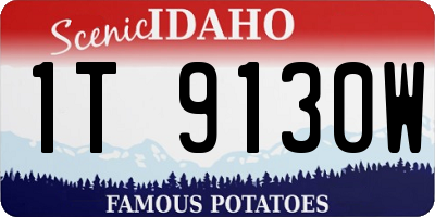 ID license plate 1T9130W