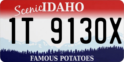 ID license plate 1T9130X