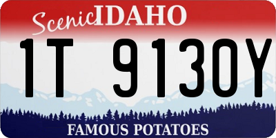 ID license plate 1T9130Y