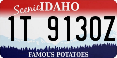 ID license plate 1T9130Z