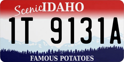 ID license plate 1T9131A
