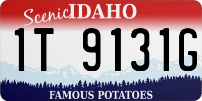 ID license plate 1T9131G
