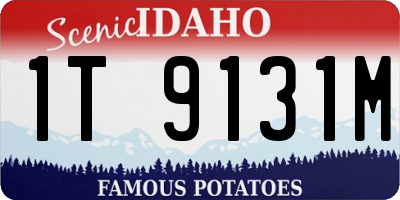ID license plate 1T9131M