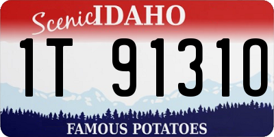 ID license plate 1T9131O