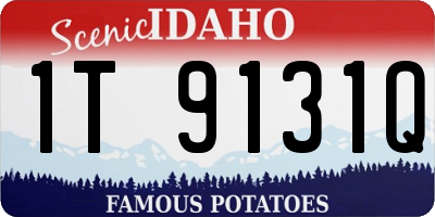 ID license plate 1T9131Q