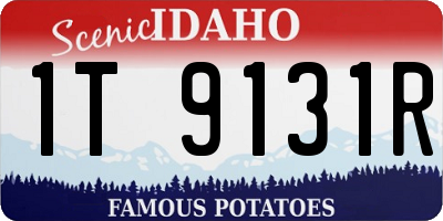 ID license plate 1T9131R