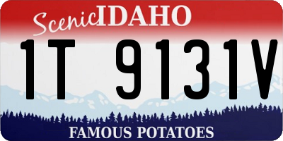 ID license plate 1T9131V