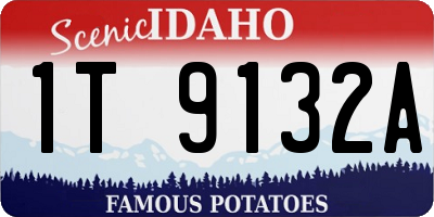 ID license plate 1T9132A