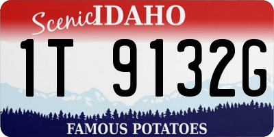 ID license plate 1T9132G