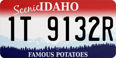 ID license plate 1T9132R