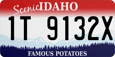 ID license plate 1T9132X