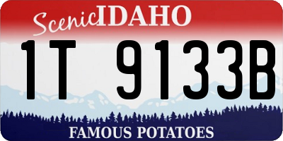 ID license plate 1T9133B