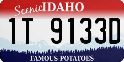 ID license plate 1T9133D