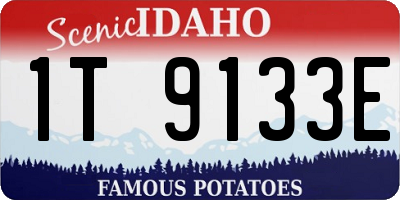 ID license plate 1T9133E