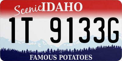 ID license plate 1T9133G