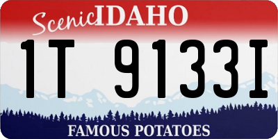 ID license plate 1T9133I