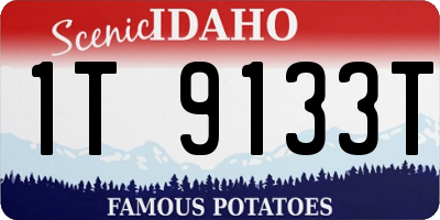 ID license plate 1T9133T