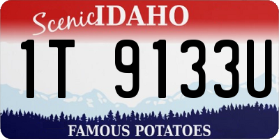 ID license plate 1T9133U