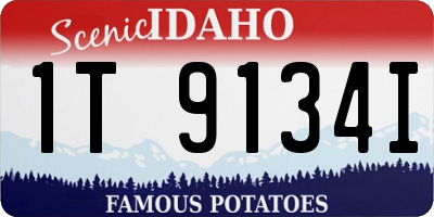 ID license plate 1T9134I