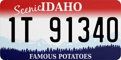 ID license plate 1T9134O