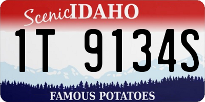 ID license plate 1T9134S