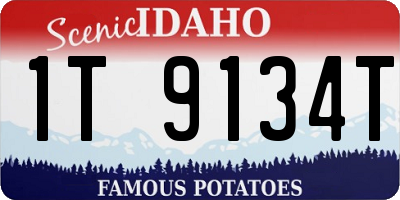 ID license plate 1T9134T