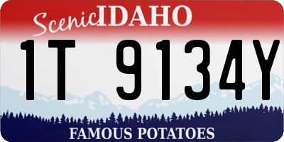 ID license plate 1T9134Y