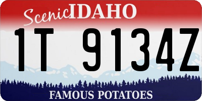 ID license plate 1T9134Z