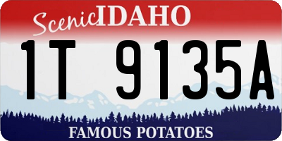 ID license plate 1T9135A