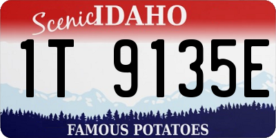 ID license plate 1T9135E