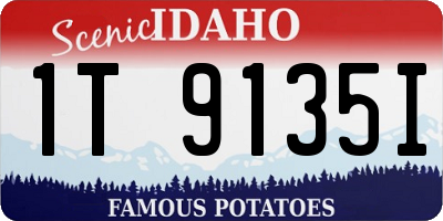 ID license plate 1T9135I