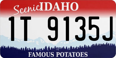 ID license plate 1T9135J