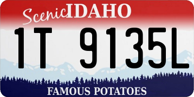 ID license plate 1T9135L