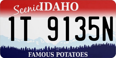 ID license plate 1T9135N
